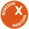 Lista Benedini per Mantova 