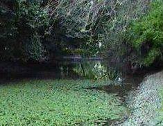 Parco delle Bertone Goito