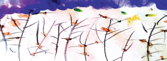 Teatro all'improvviso L'albero incantato 2018 Mantova
