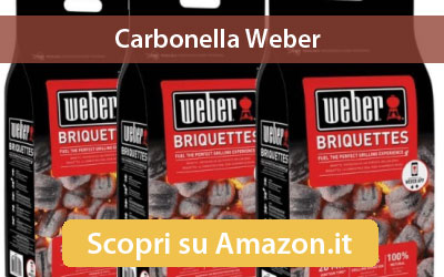 Vendita carbonella Weber bricchetti carbone