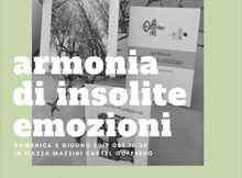 Armonia di insolite emozioni Luca Martinalli Castel Goffredo 2019