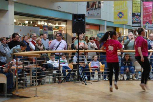 Arti Marziali Centro Commerciale La Favorita di Mantova