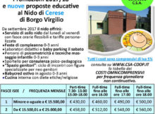 asilo nido Pollicino Borgo Virgilio (MN) 2017 2018