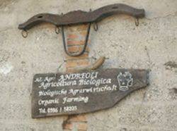 Azienda Agricola Biologica Loghino Canova di Alfredo Andreoli Schivenoglia (Mantova)