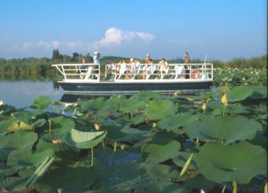 In Silenzio sul Lago