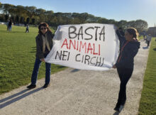 Basta animali nei circhi Mantova Parco Te 24 marzo 2024
