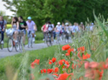 Biciclettata delle Torri 2015 Ceresara (MN)