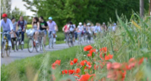 Biciclettata delle Torri 2015 Ceresara (MN)