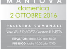 Borsa Scambio Giocattoli Mantova 2 ottobre 2016