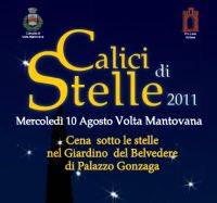 Calici di Stelle 2011 Volta Mantovana (Mantova)