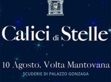 Calici di Stelle 2022 Volta Mantovana (MN)