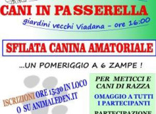 Cani in passerella 2015 Viadana (MN)