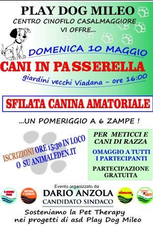 Cani in passerella 2015 Viadana (MN)