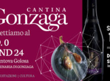 Cantina Gonzaga Fiera Millenaria 2017