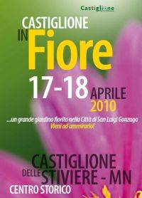 Castiglione in Fiore 2010