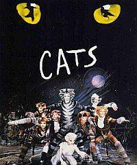 Musical Cats a Mantova