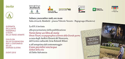 Centenario Grande guerra Pegognaga (Mantova) 2018
