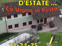 Ceresara d'estate La vigna in festa 2017