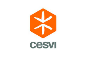 Cesvi