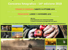 Concorso fotografico Agriturismo Mantova 2019