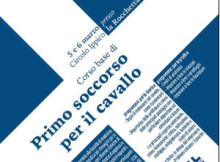 Corso Primo Soccorso Cavallo Moglia 2016