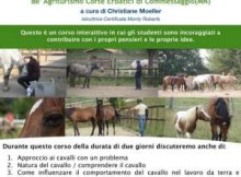 Corso psicologia equina Commessaggio (Mantova)