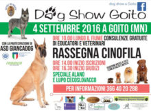 Dog Show Goito Mantova 2016