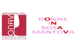 Donne in Rosa Mantova 2017