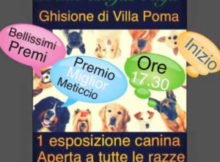 Esposizione Canina Club Cinofilo I Tigli Villa Poma MN 2016