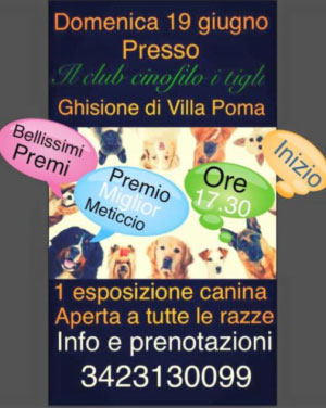 Esposizione Canina Club Cinofilo I Tigli Villa Poma MN 2016