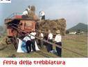 Festa della trebbiatura