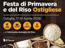Festa di primavera e del riso ostigliese 2026 Ostiglia (MN)