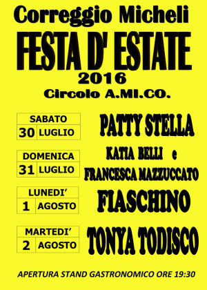 Festa estate 2016 Correggio Micheli (MN)