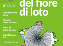 Festa fiore di loto 2023 Curtatone (Mantova)