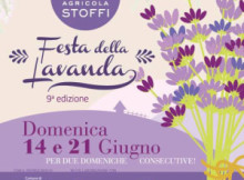 Festa Lavanda 2015 San Giacomo delle Segnate (Mantova)