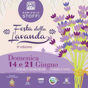 Festa Lavanda 2015 San Giacomo delle Segnate (Mantova)