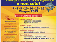 Festa del pescegatto e non solo 2019 Dosolo (MN)