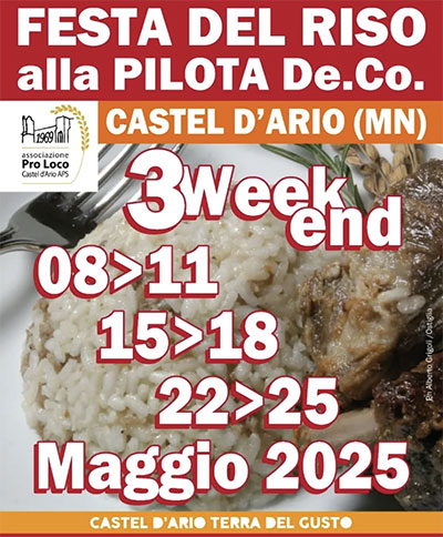 Festa del riso 2025 Castel d'Ario (Mantova)