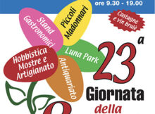 Festa della solidarietà 2023 Piubega (MN)