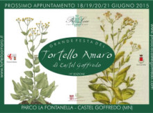 Festa Tortello Amaro 2015 Castel Goffredo (Mantova)
