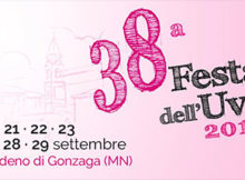 Festa dell'Uva 2019 Bondeno di Gonzaga (MN)