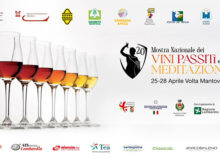 Festa Vini Passiti e da Meditazione 2024 Volta Mantovana