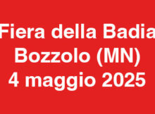 Fiera della Badia Bozzolo (MN) 2025