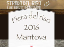 Fiera del riso Mantova 2016