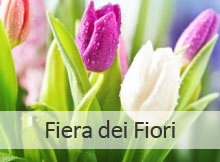 Fiera dei Fiori 2014 Canneto Sull'Oglio (Mantova)