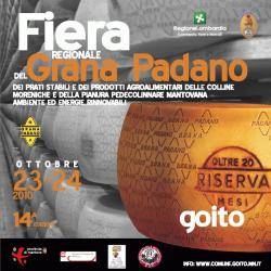 Fiera Grana Padano Goito 2010