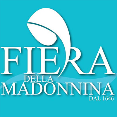 Fiera della Madonnina 2023 a San Martino Dall'Argine (MN)