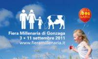 Fiera Millenaria 2011 Gonzaga (Mantova)