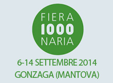 Fiera Millenaria 2014 Gonzaga (Mantova)