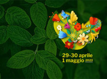 I Fiori di Castellaro Lagusello 2023